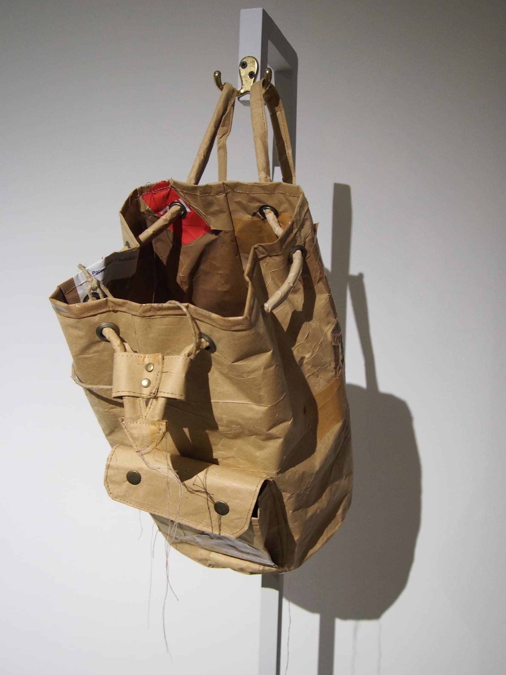 Bag-Self Portrait Series