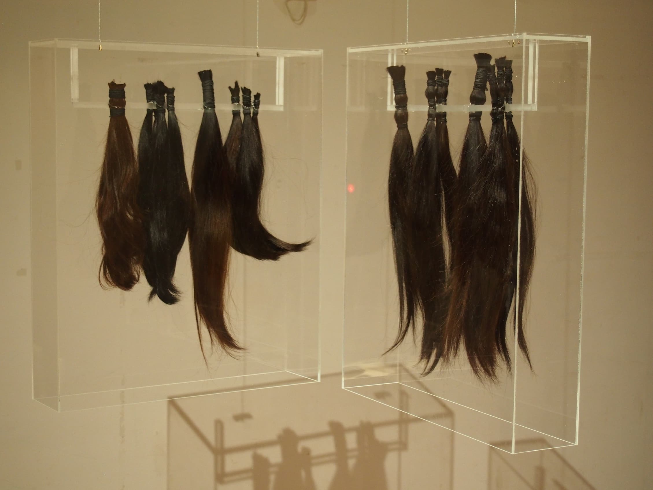 Cut the Hair-Tie the Braids