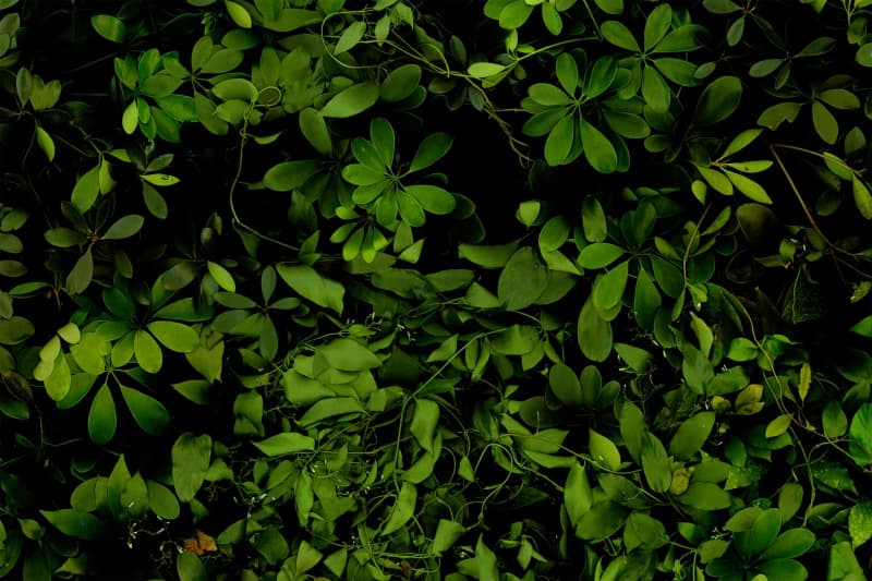 逝去中的風景─十月