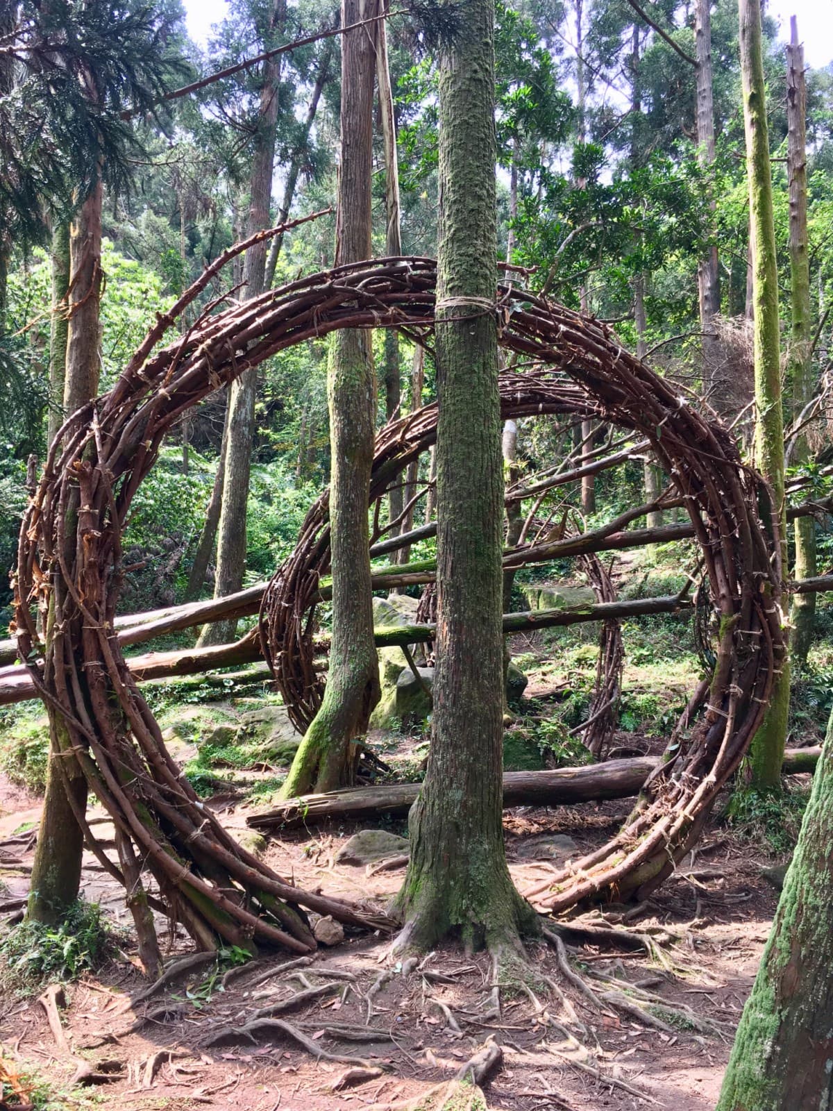 The Spiral of Nature’s Boundary