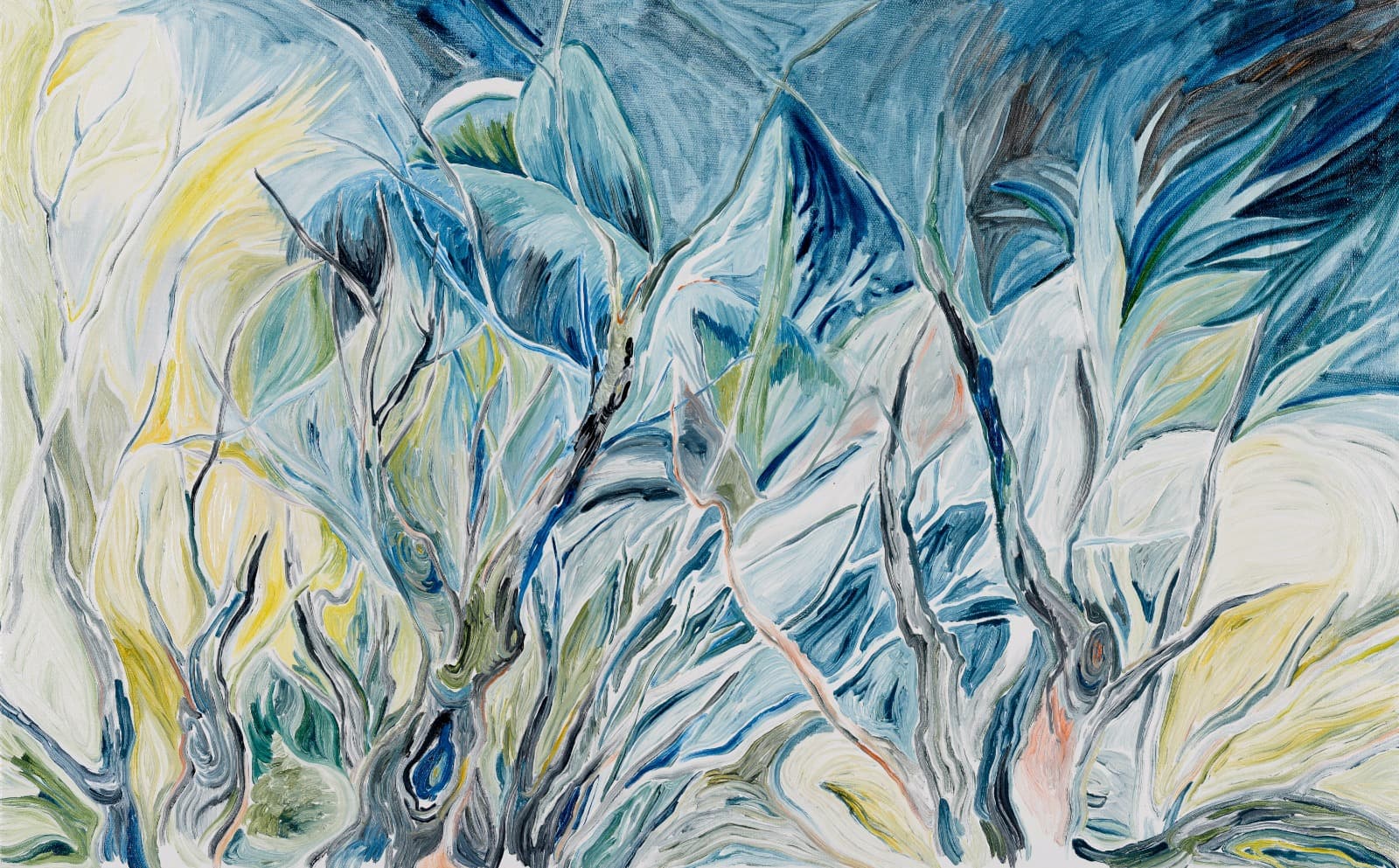 陽光灑落的樹林