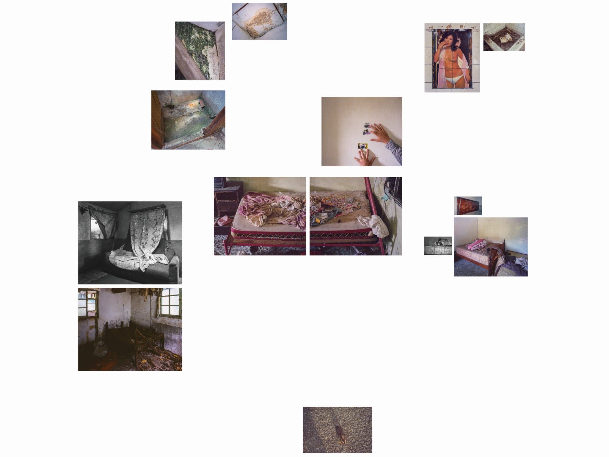 日復一日-欲望的驅使是潮濕且乾癟的