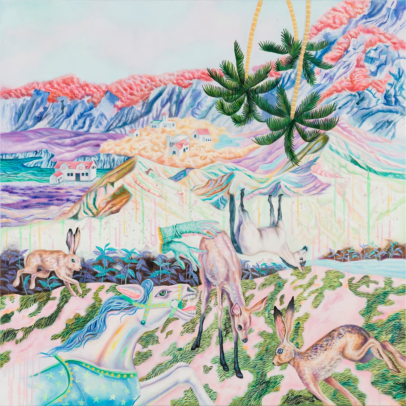 看得見彩虹的山坡