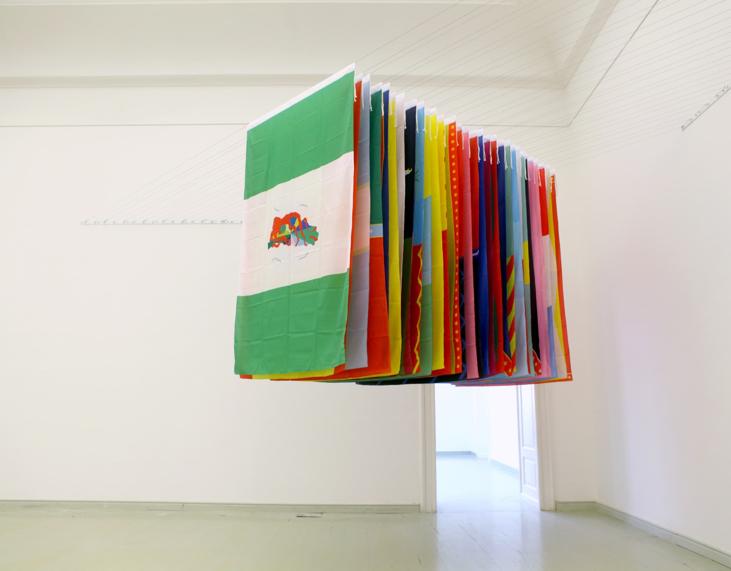 30 Proposals of Flag