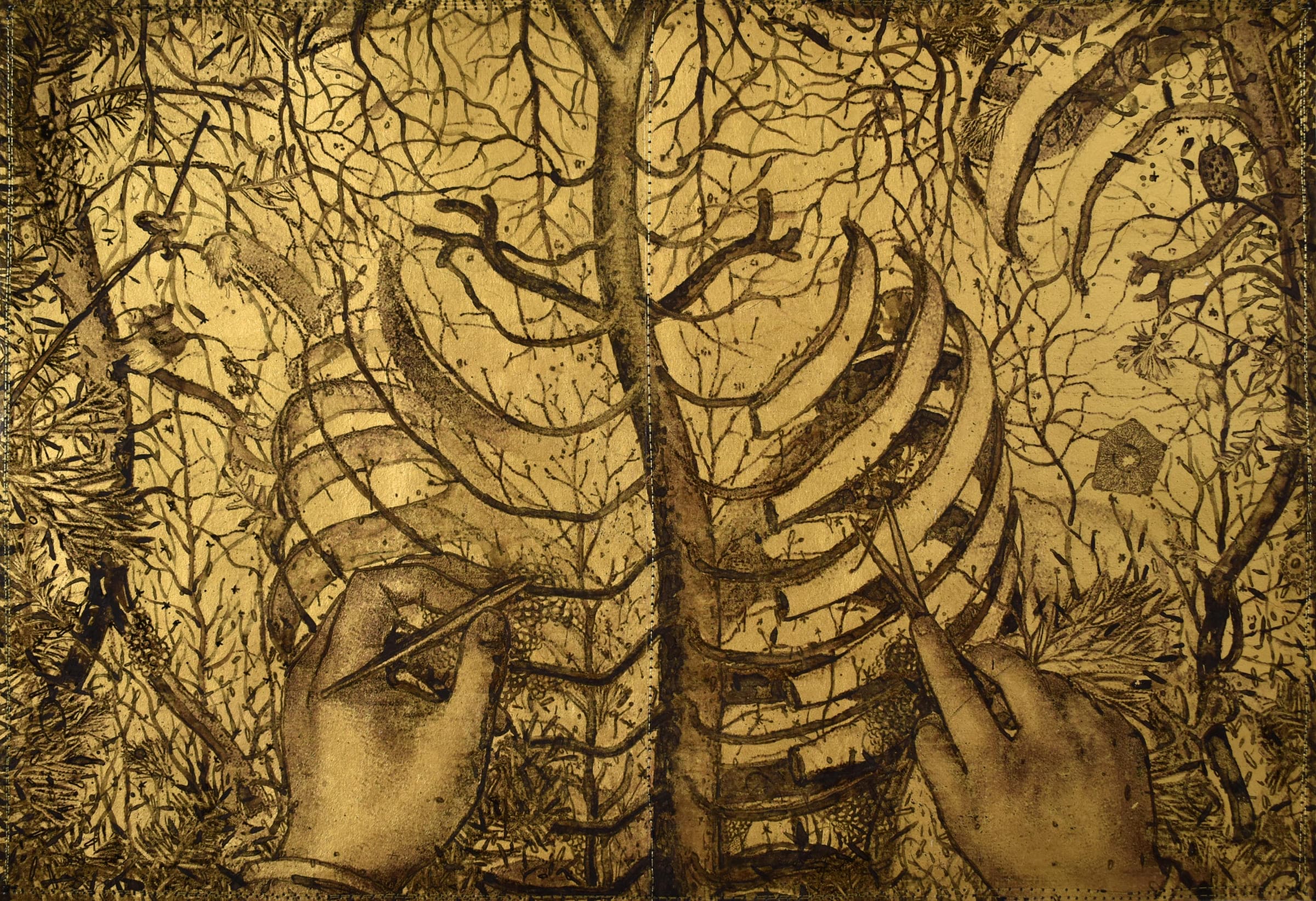 屋頂上的植物學家