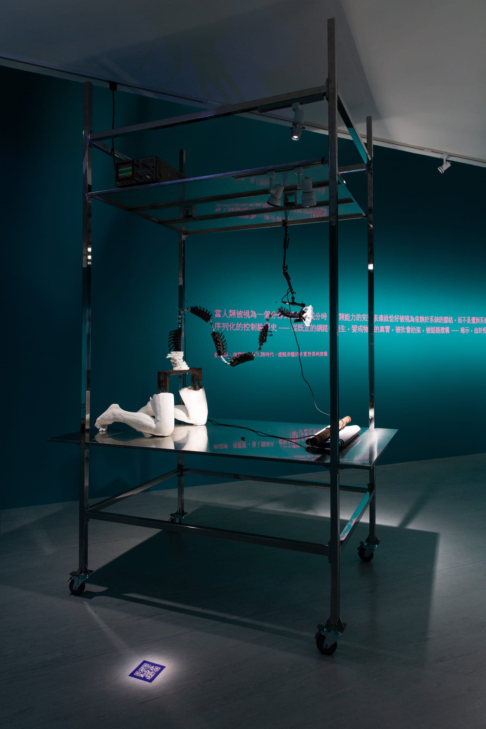 阿斯克勒批厄斯的解剖學