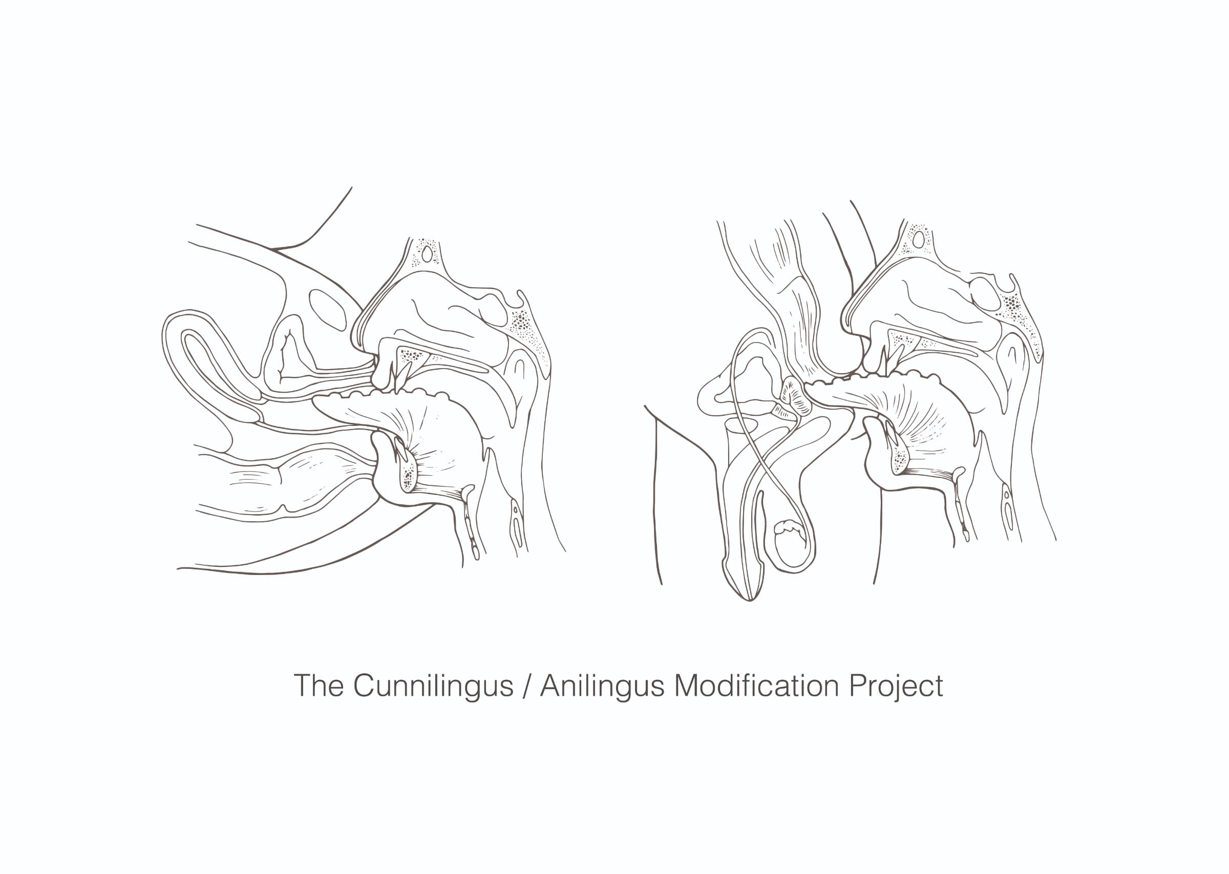 The Cunnilingus/Anilingus Modification Project