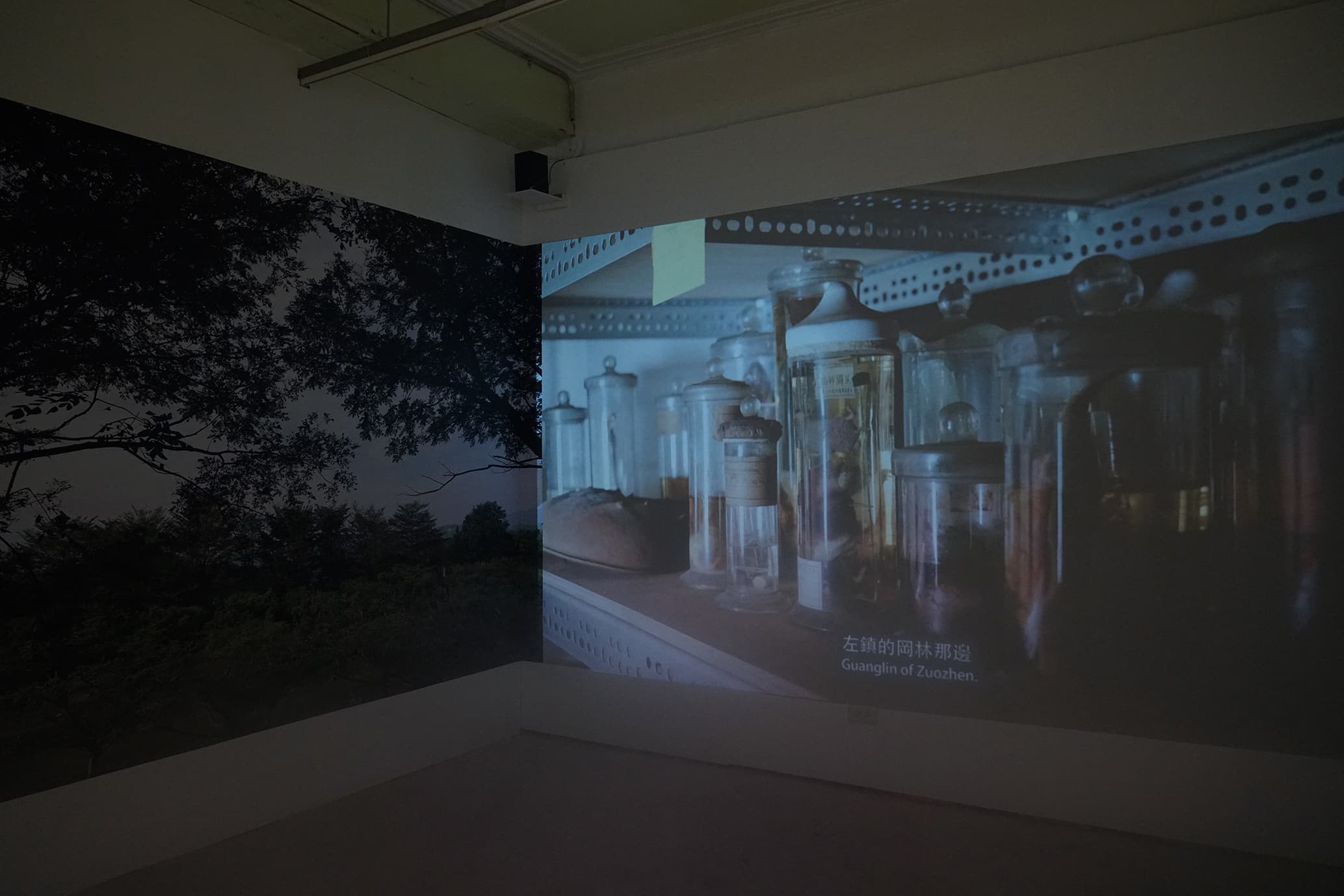 不在研究室的標本