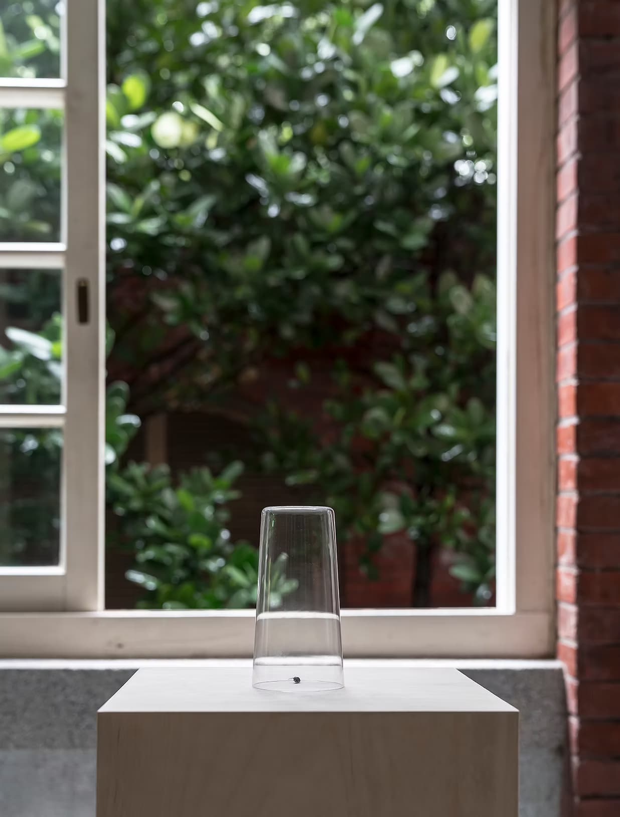 拯救計畫五號 – 無事晴朗