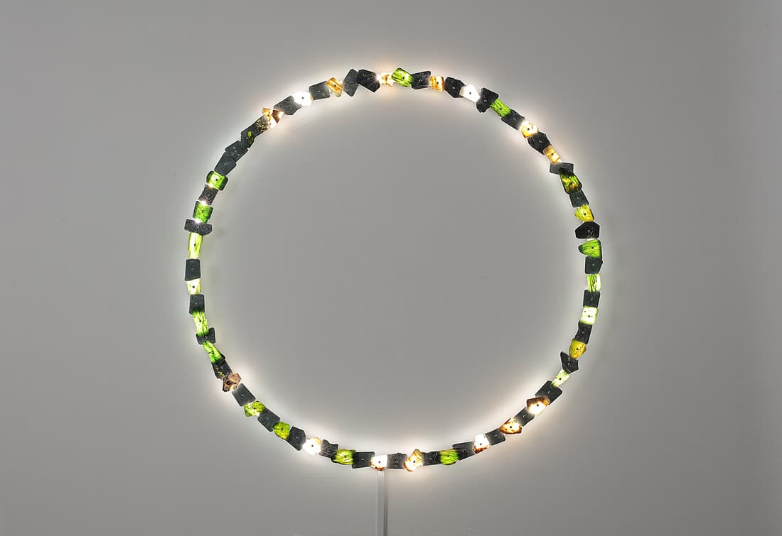 Inheritance of Living Beings' Emotions