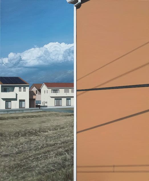 有富士山的風景