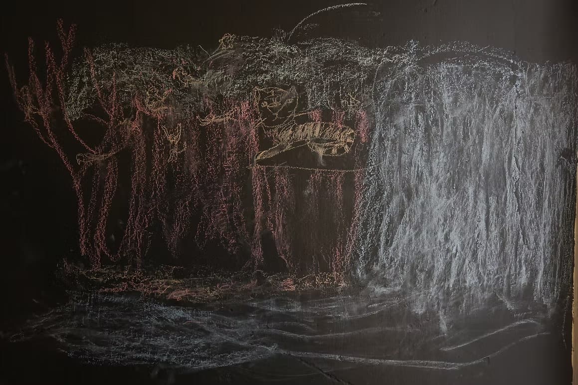 晚安 Suzy 女士 與 Teja